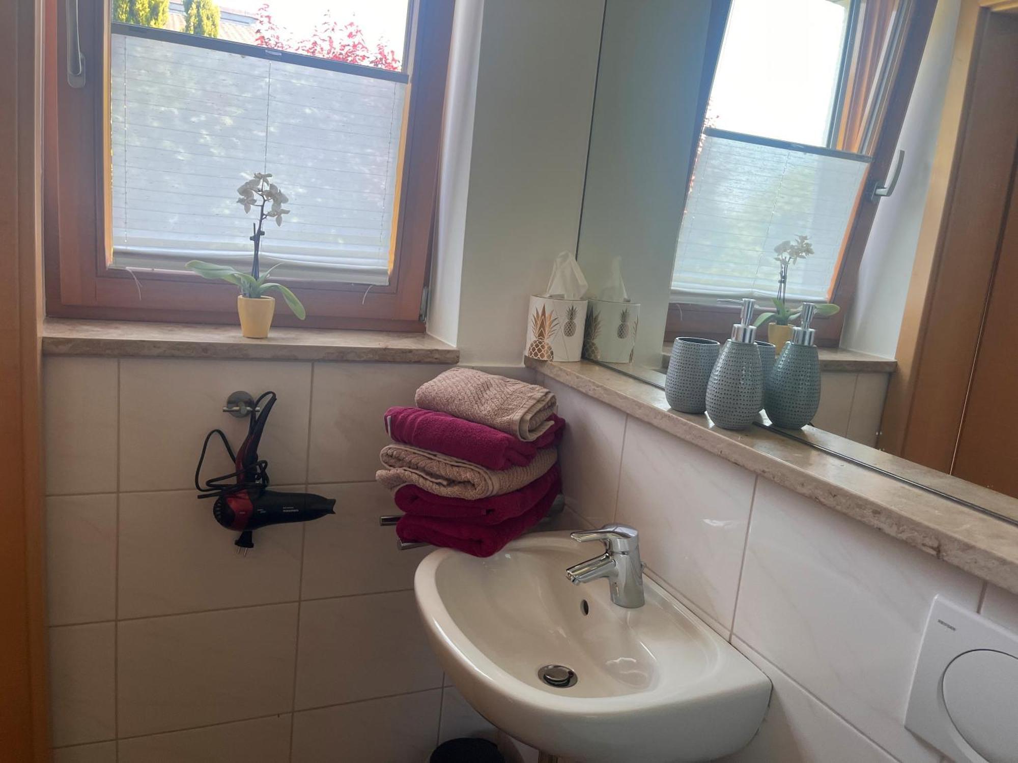 Im Rosengarten Bodman-Ludwigshafen
